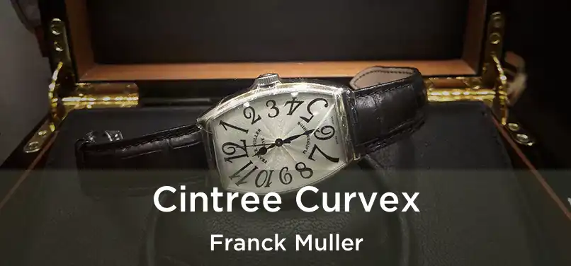  Cintree Curvex Franck Muller