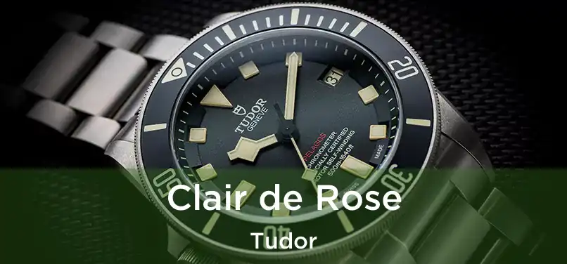  Clair de Rose Tudor