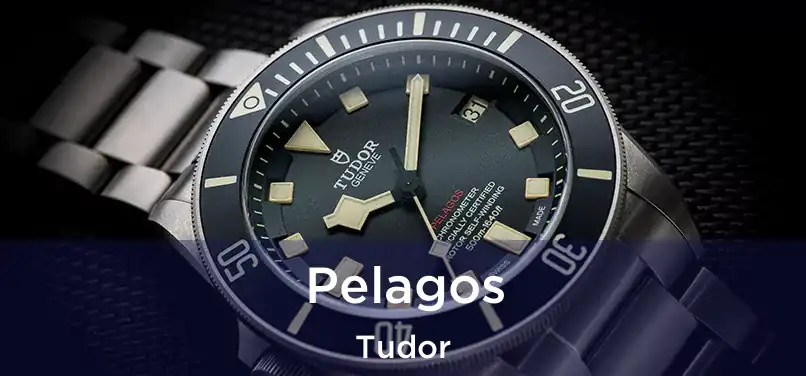 Pelagos Tudor